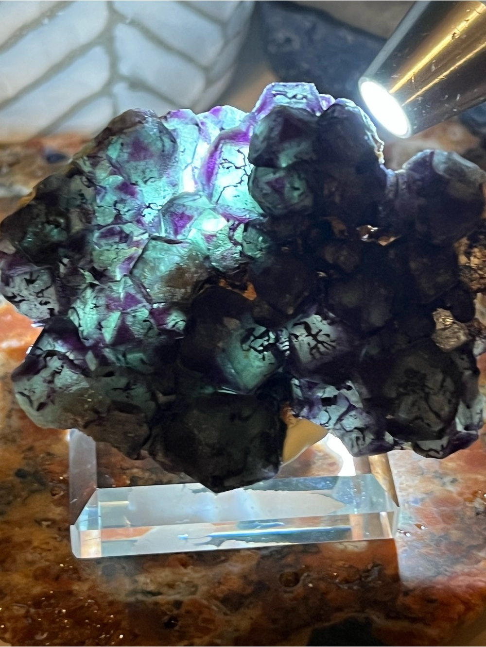 GORGEOUS Okorusu Fluorite